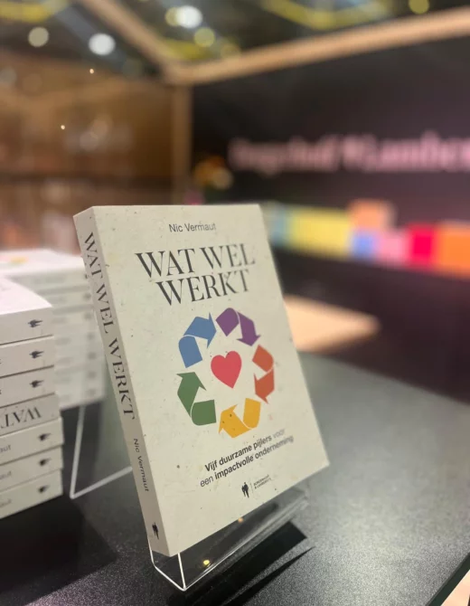 Boek wat wel werkt nic vermaut